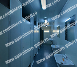 containere de vanzare Alba